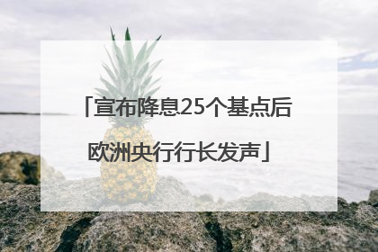 宣布降息25个基点后 欧洲央行行长发声