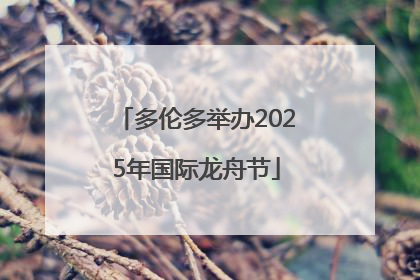 多伦多举办2025年国际龙舟节