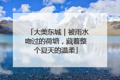 大美东城｜被雨水吻过的荷塘，藏着整个夏天的温柔