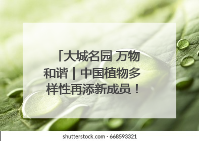 大城名园 万物和谐｜中国植物多样性再添新成员！它只在西藏墨脱