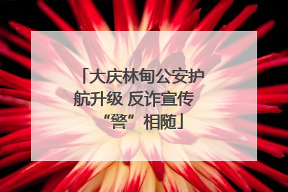 大庆林甸公安护航升级 反诈宣传“警”相随
