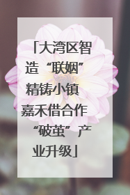 大湾区智造“联姻”精铸小镇 嘉禾借合作“破茧”产业升级