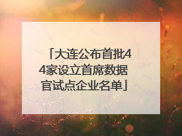 大连公布首批44家设立首席数据官试点企业名单