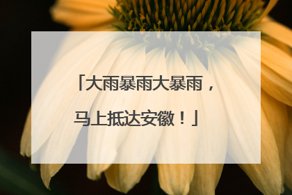 大雨暴雨大暴雨，马上抵达安徽！