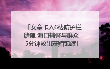 女童卡入6楼防护栏缝隙 海口辅警与群众5分钟救出获赠锦旗