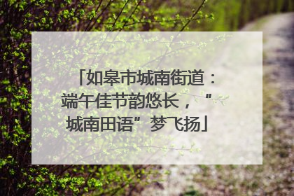 如皋市城南街道：端午佳节韵悠长，“城南田语”梦飞扬