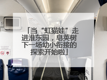 当“虹猫娃”走进淮东园，皂荚树下一场幼小衔接的探索开始啦