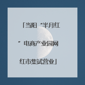 当阳“半月红”电商产业园网红市集试营业