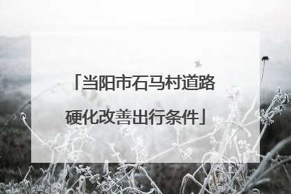 当阳市石马村道路硬化改善出行条件