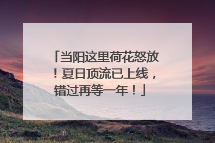 当阳这里荷花怒放！夏日顶流已上线，错过再等一年！