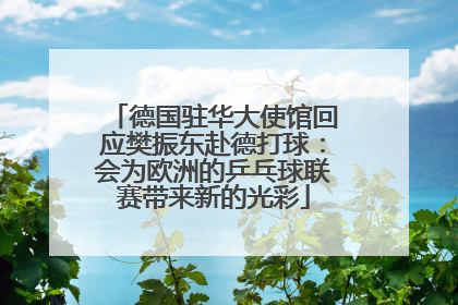 德国驻华大使馆回应樊振东赴德打球：会为欧洲的乒乓球联赛带来新的光彩