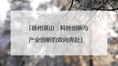 徐州泉山：科技创新与产业创新的双向奔赴