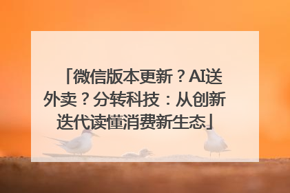 微信版本更新？AI送外卖？分转科技：从创新迭代读懂消费新生态