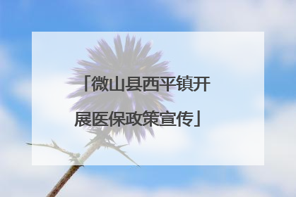 微山县西平镇开展医保政策宣传