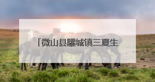 微山县驩城镇三夏生产跑出 “加速度”