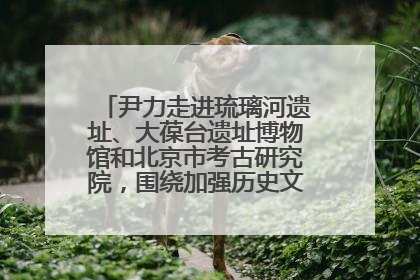 尹力走进琉璃河遗址、大葆台遗址博物馆和北京市考古研究院，围绕加强历史文化名城保护调研