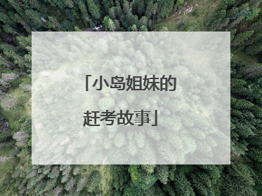 小岛姐妹的赶考故事