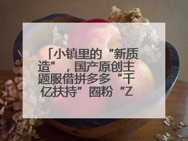 小镇里的“新质造”，国产原创主题服借拼多多“千亿扶持”圈粉“Z世代”