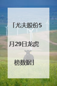 尤夫股份5月29日龙虎榜数据