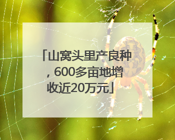 山窝头里产良种，600多亩地增收近20万元