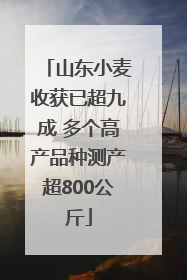 山东小麦收获已超九成 多个高产品种测产超800公斤