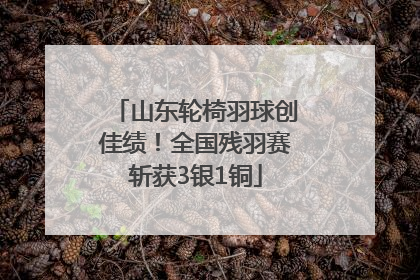 山东轮椅羽球创佳绩！全国残羽赛斩获3银1铜