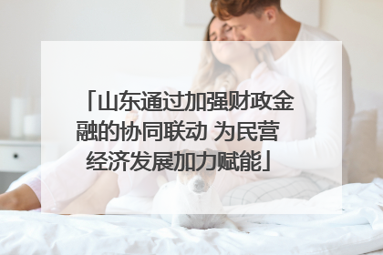 山东通过加强财政金融的协同联动 为民营经济发展加力赋能