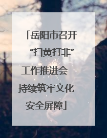 岳阳市召开“扫黄打非”工作推进会 持续筑牢文化安全屏障