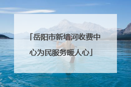 岳阳市新墙河收费中心为民服务暖人心