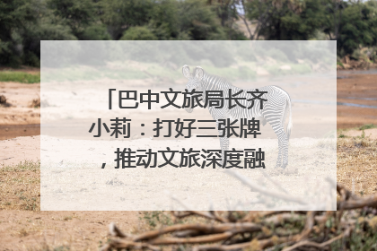 巴中文旅局长齐小莉：打好三张牌，推动文旅深度融合｜文旅局长说