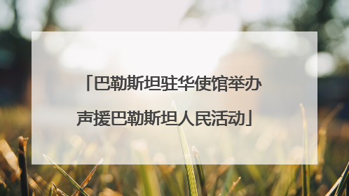 巴勒斯坦驻华使馆举办声援巴勒斯坦人民活动
