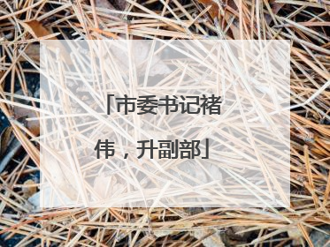 市委书记褚伟，升副部