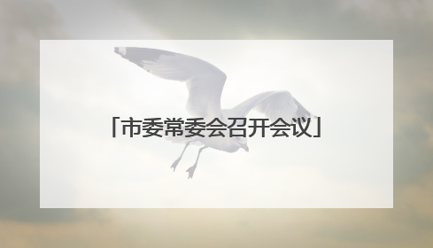 市委常委会召开会议
