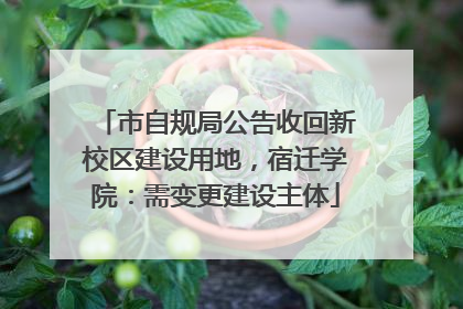 市自规局公告收回新校区建设用地，宿迁学院：需变更建设主体