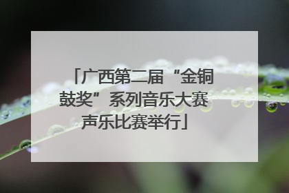 广西第二届“金铜鼓奖”系列音乐大赛声乐比赛举行
