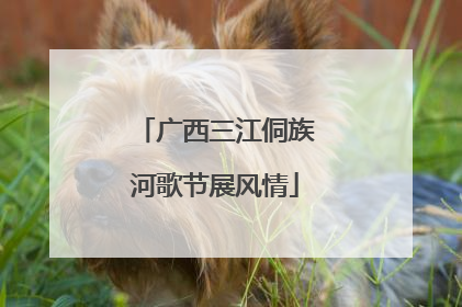 广西三江侗族河歌节展风情