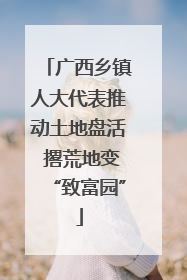 广西乡镇人大代表推动土地盘活 撂荒地变“致富园”