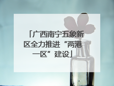 广西南宁五象新区全力推进“两港一区”建设