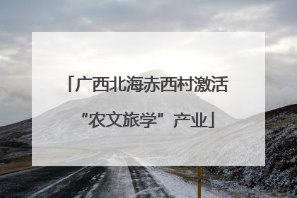 广西北海赤西村激活“农文旅学”产业