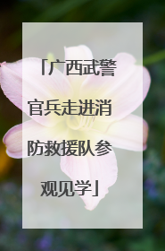 广西武警官兵走进消防救援队参观见学