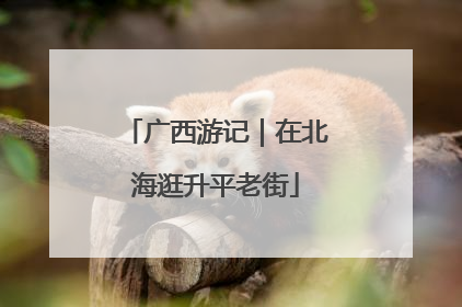 广西游记｜在北海逛升平老街