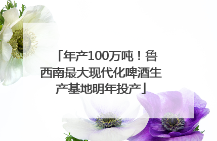 年产100万吨！鲁西南最大现代化啤酒生产基地明年投产