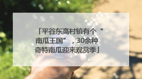 平谷东高村镇有个“南瓜王国”，30余种奇特南瓜迎来观赏季