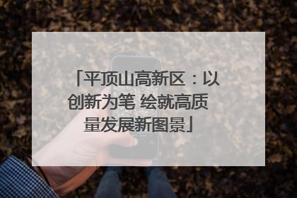 平顶山高新区：以创新为笔 绘就高质量发展新图景