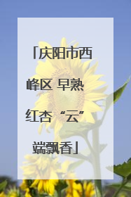 庆阳市西峰区 早熟红杏“云”端飘香