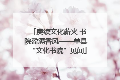 庚续文化薪火 书院盈满香风——单县“文化书院”见闻