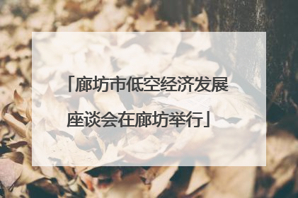 廊坊市低空经济发展座谈会在廊坊举行