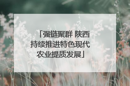 强链聚群 陕西持续推进特色现代农业提质发展