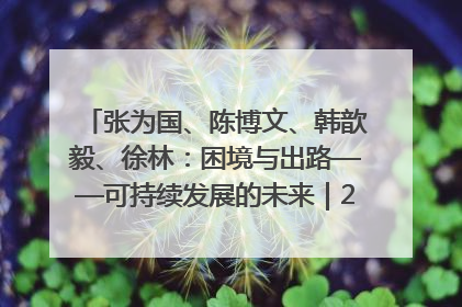 张为国、陈博文、韩歆毅、徐林：困境与出路——可持续发展的未来｜2025IFCII