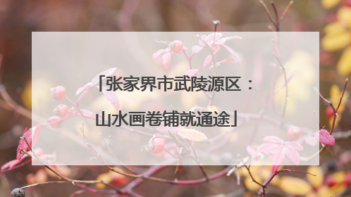 张家界市武陵源区：山水画卷铺就通途